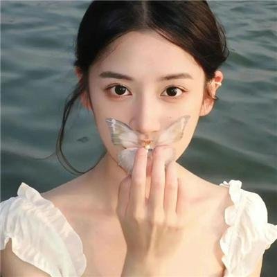 失踪者搜寻组消失的真相